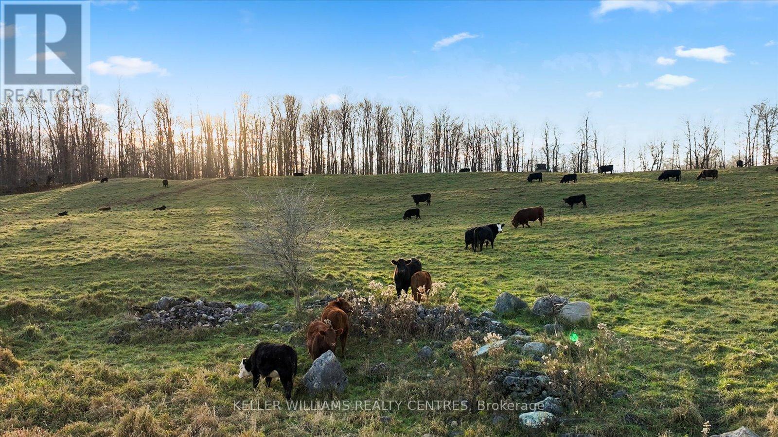 Photo 14 of 4956 Fifth Line, Erin ON