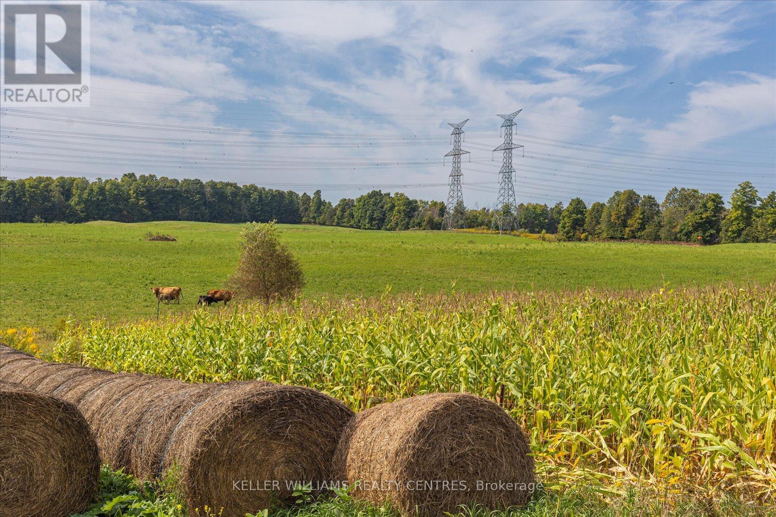 Photo 9 of 4956 Fifth Line, Erin ON