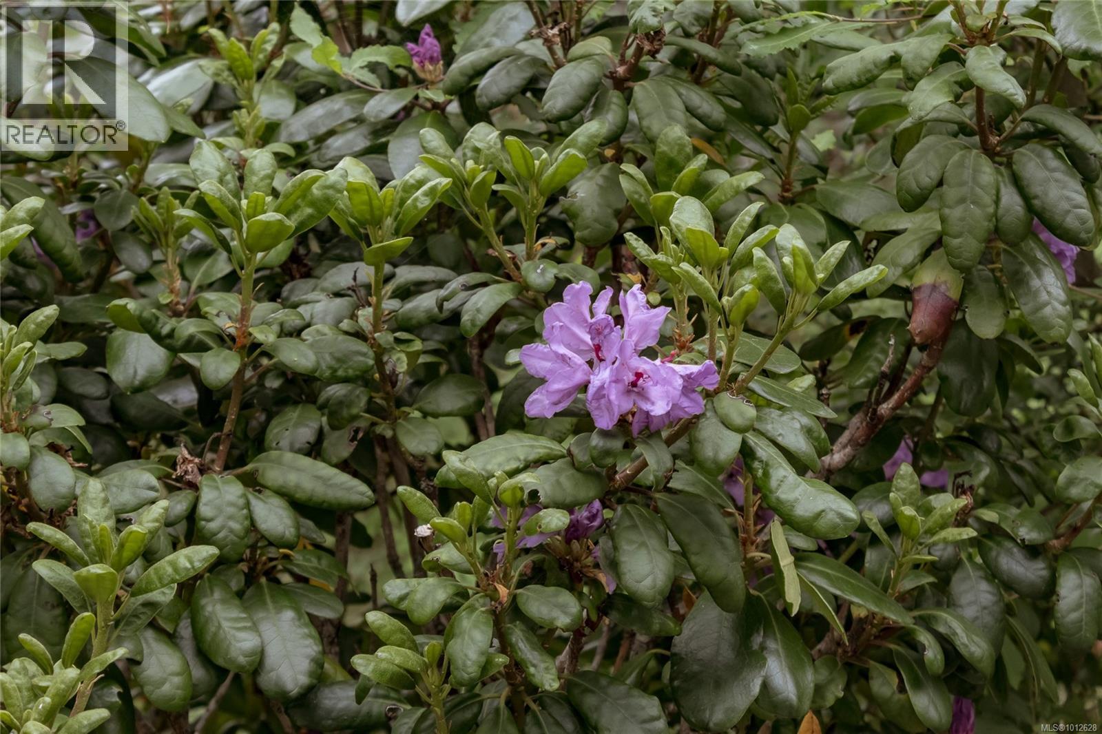 Photo 56 of 4835 Black Bear Ridge, Nanaimo BC