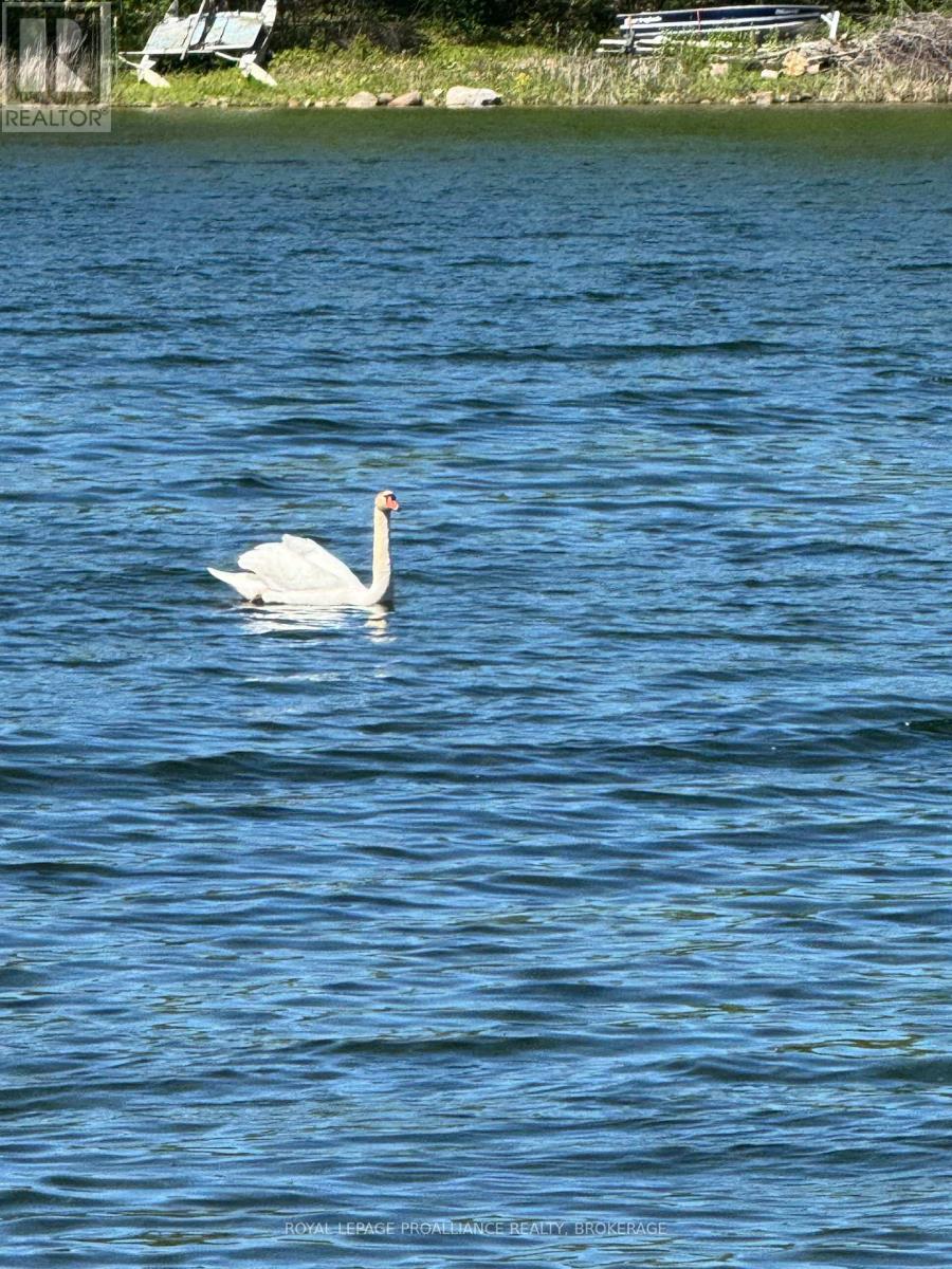 PT LT 6-7 16TH LINE ROAD - Photo 2 of 20, Frontenac Islands (The Islands), Ontario