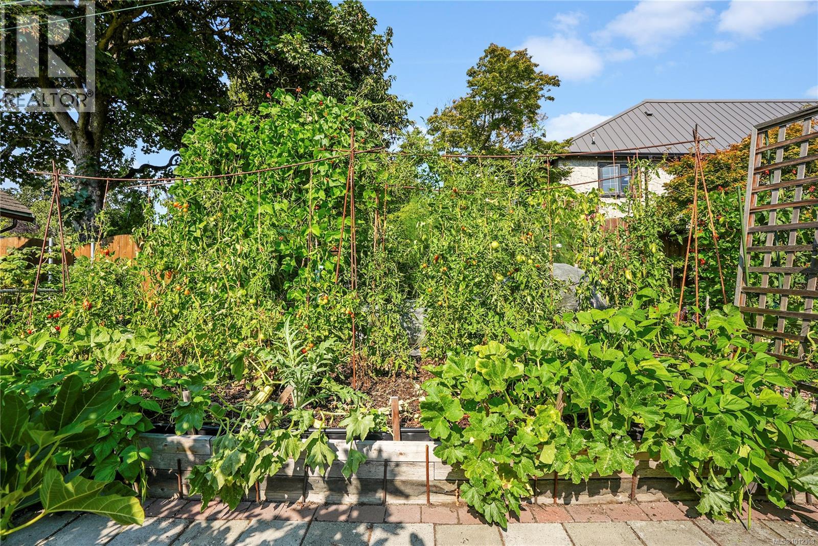 Photo 26 of 2808 Wyndeatt Ave, Saanich BC