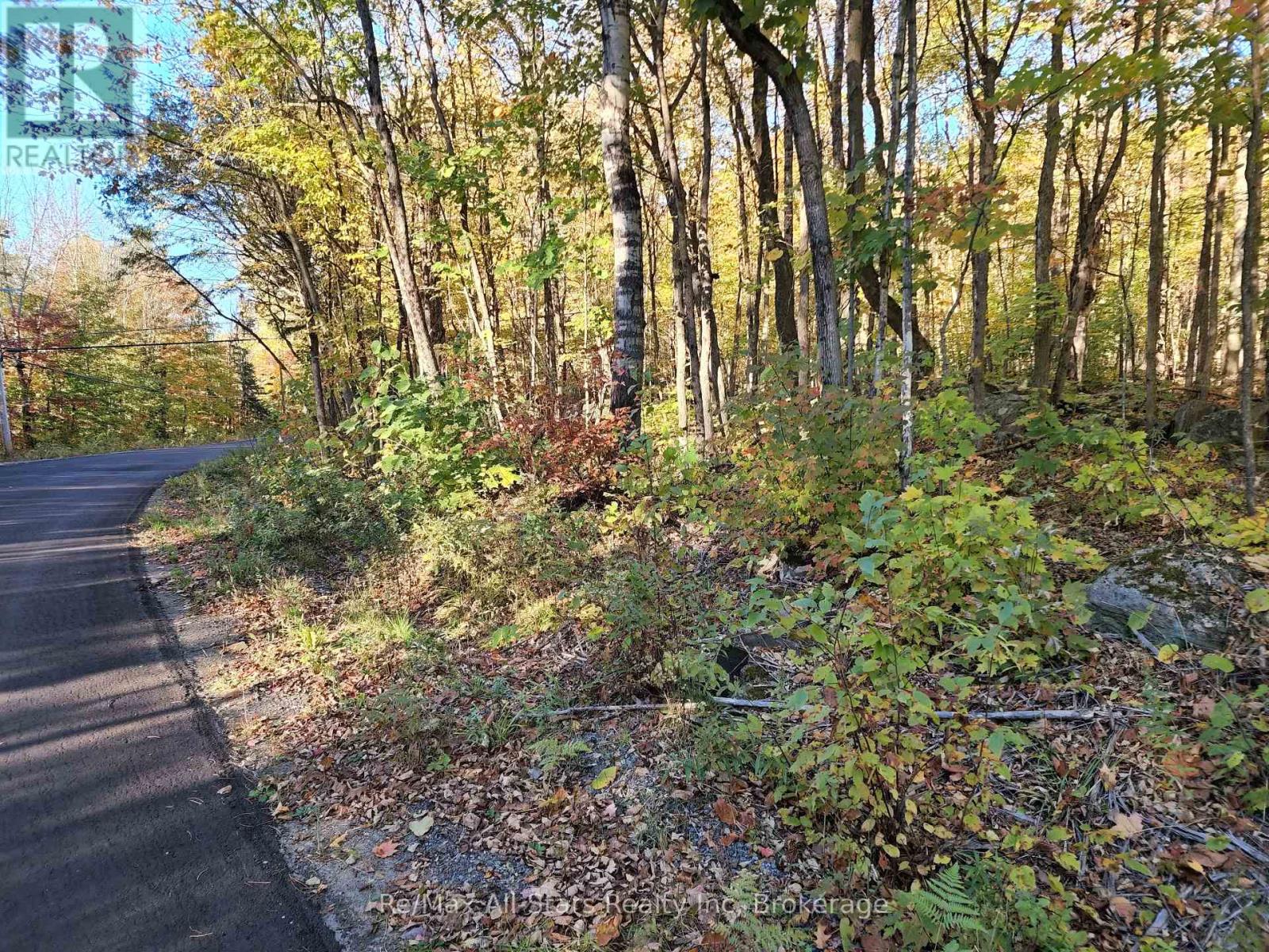 Photo 10 of A Tally Ho Winter Park Road, Lake Of Bays ON