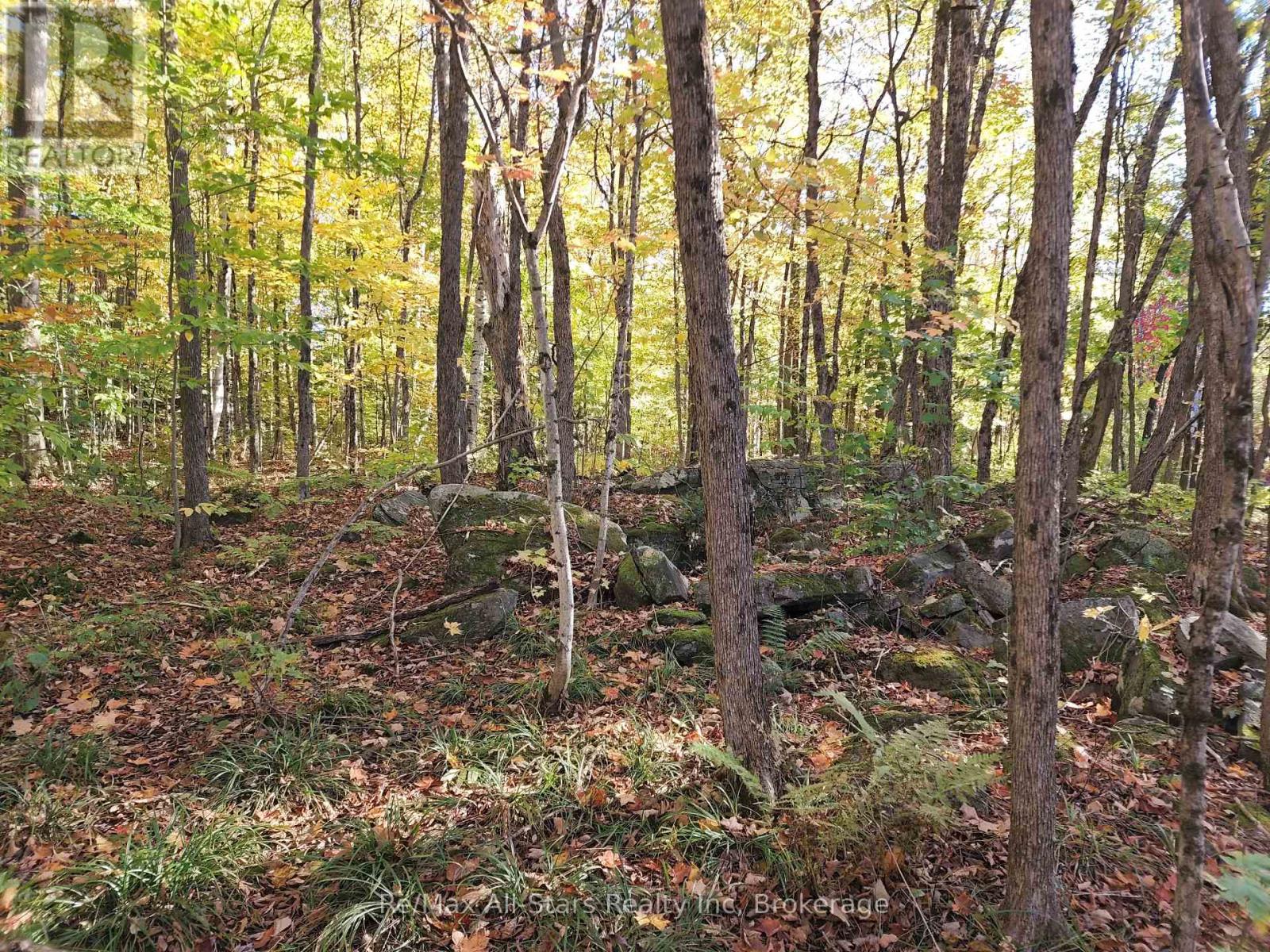 Photo 5 of A Tally Ho Winter Park Road, Lake Of Bays ON