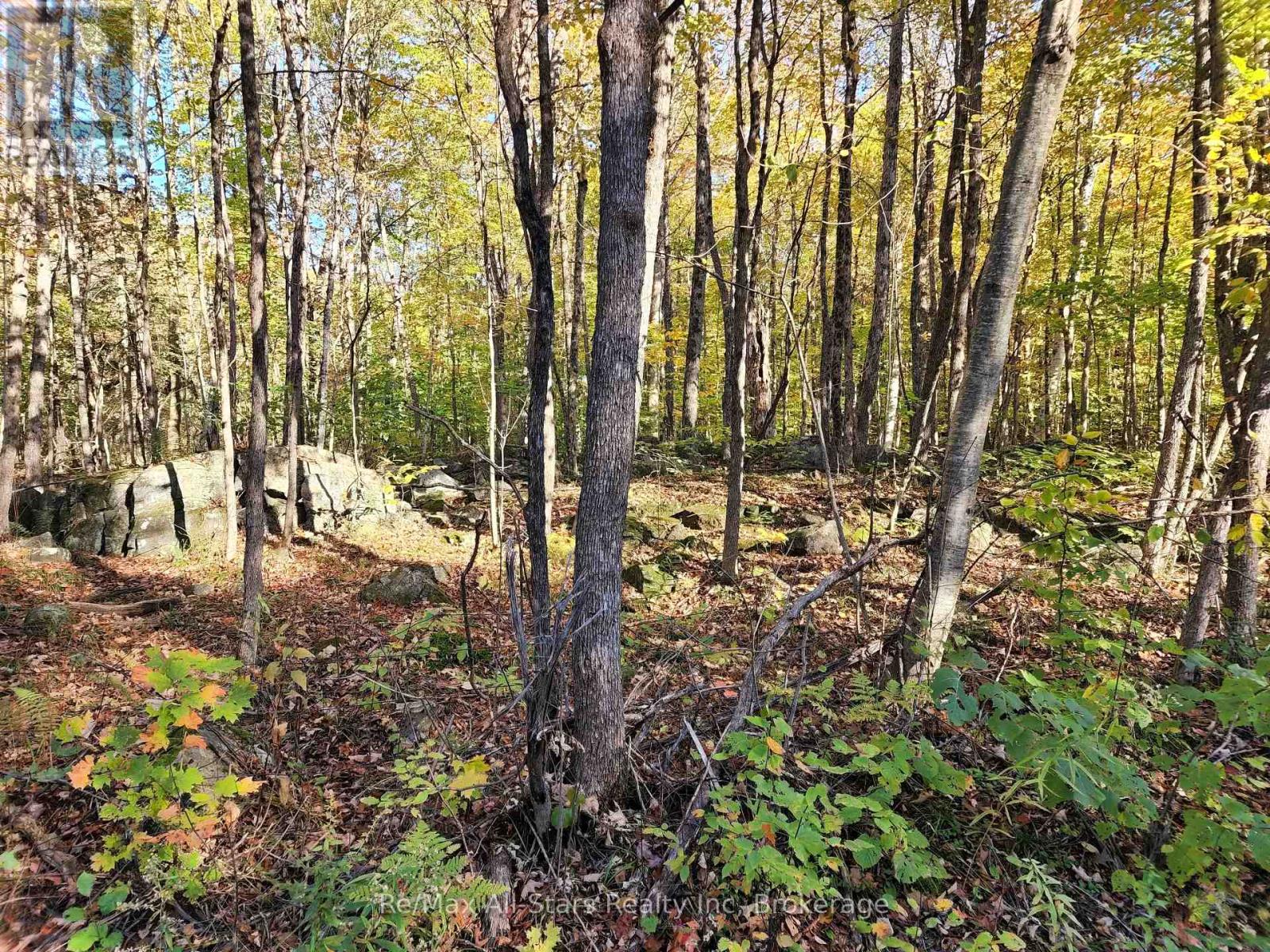 Photo 7 of A Tally Ho Winter Park Road, Lake Of Bays ON