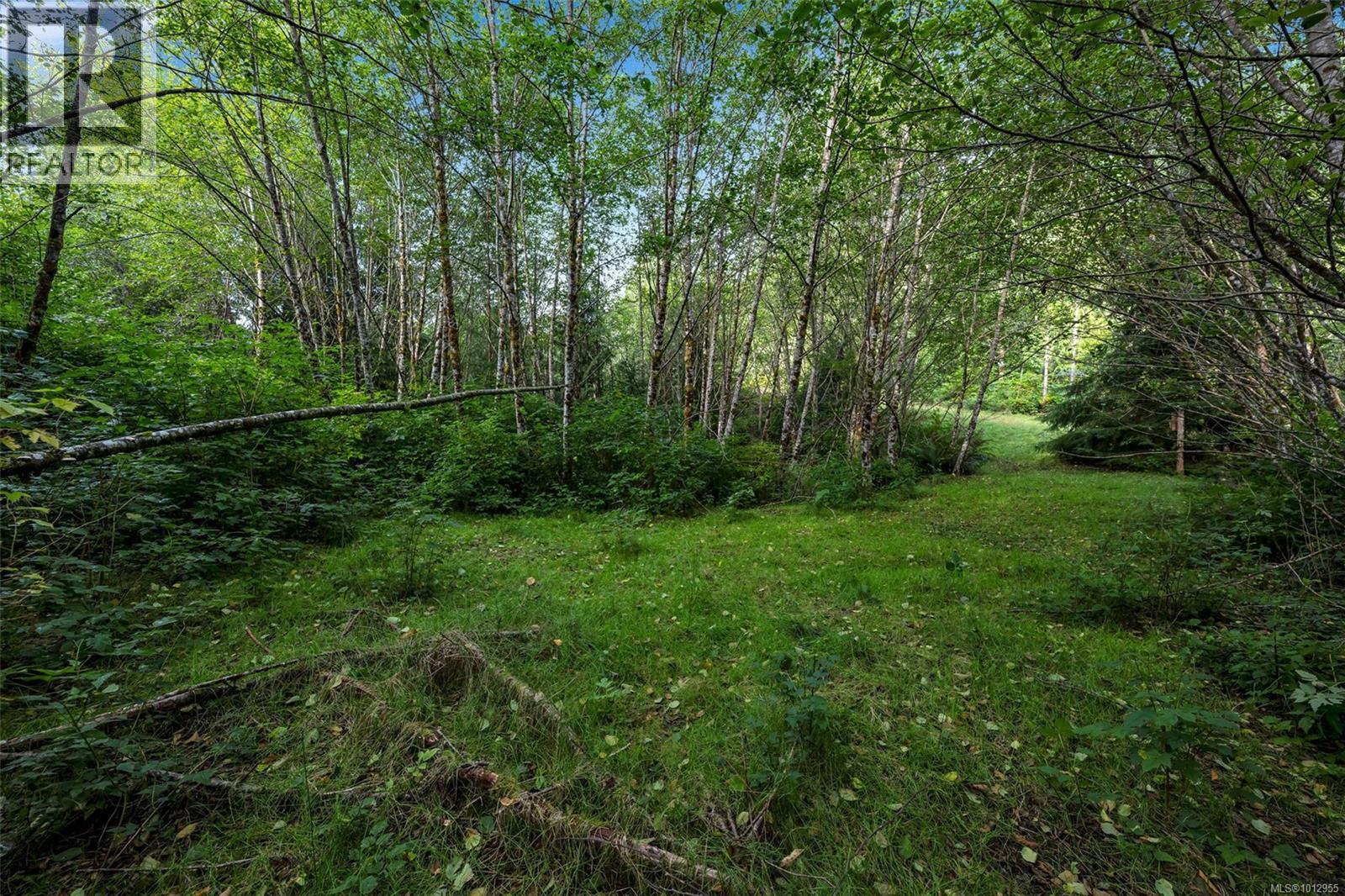  Lot 111 Powder Main Road, Port Renfrew