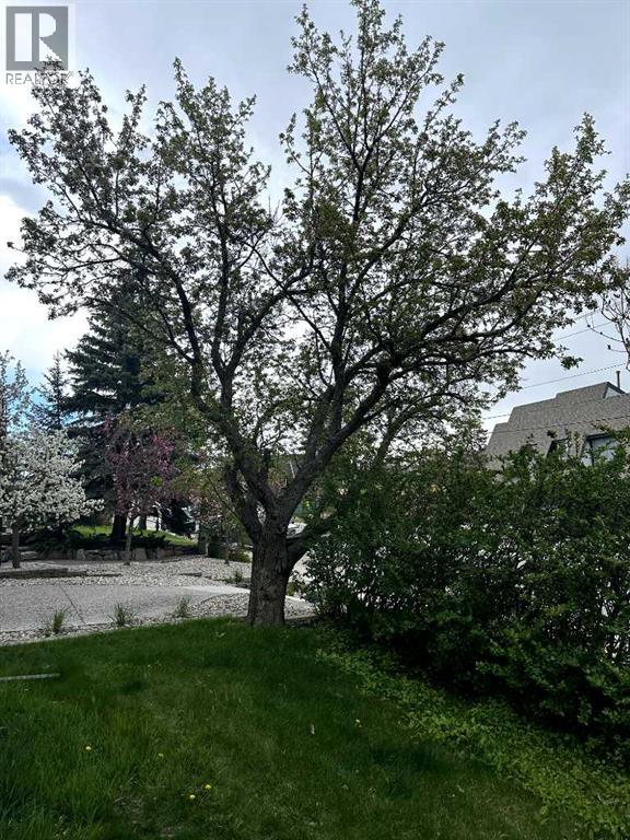 Photo 42 of 4538 Montgomery Avenue Nw, Calgary AB