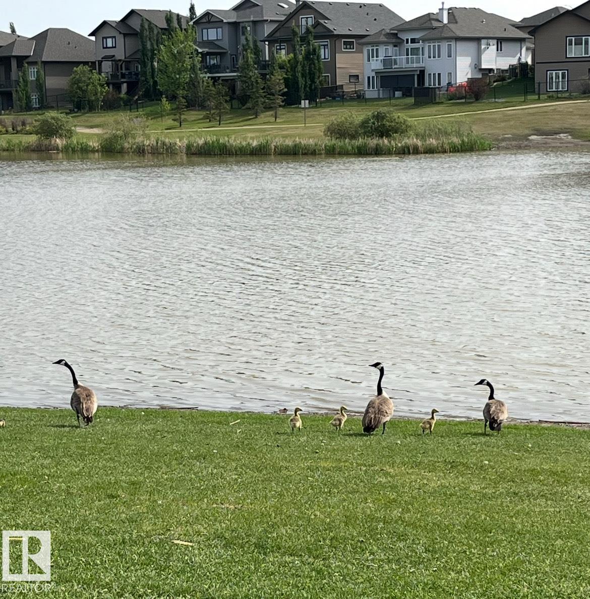Photo 66 of 57 Dalquist Ba, Leduc AB