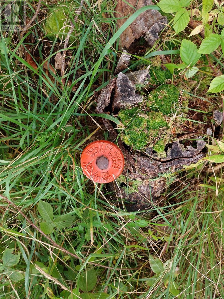 Property 17 of 21 of 2664 Morrison Rd.