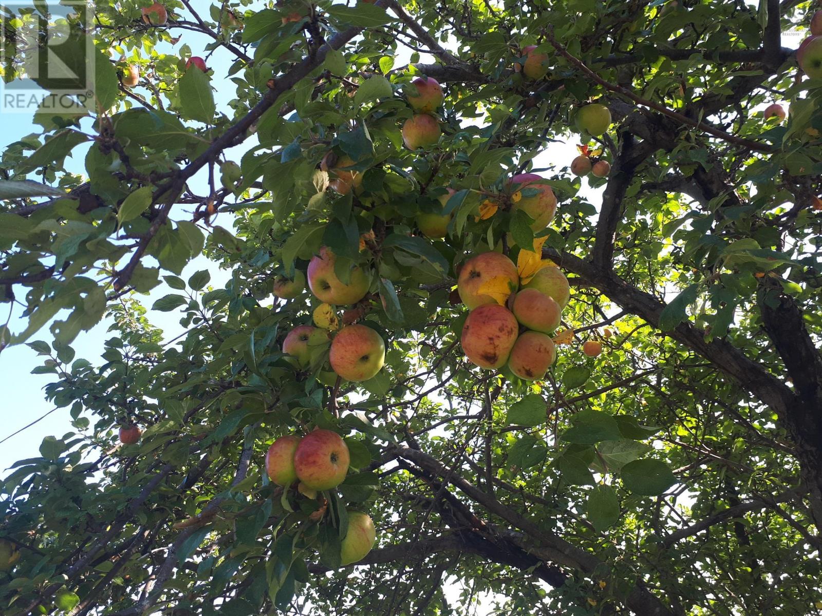 Property 11 of 21 of 2664 Morrison Rd.