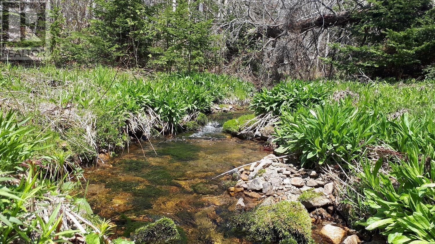 Property 9 of 21 of 2664 Morrison Rd.