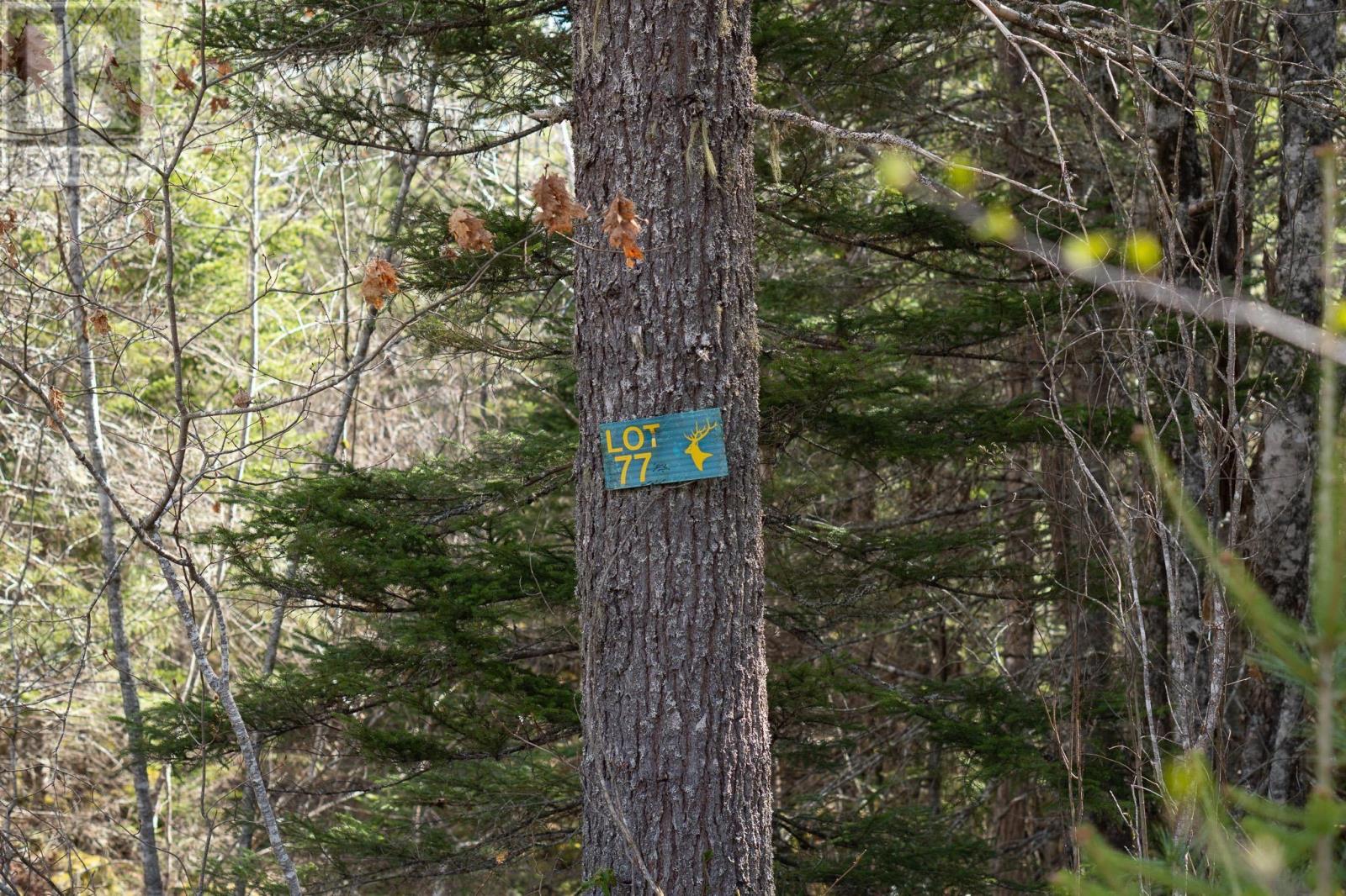 Property 8 of 8 of Lot 77 Waterloo Avenue