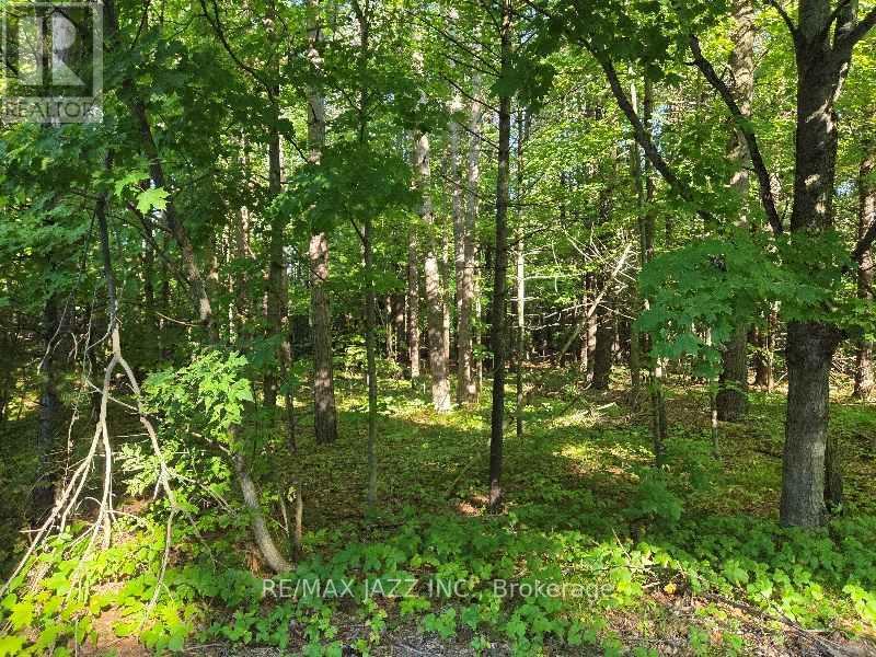 Photo 2 of 33 Sumac Road, Clarington ON