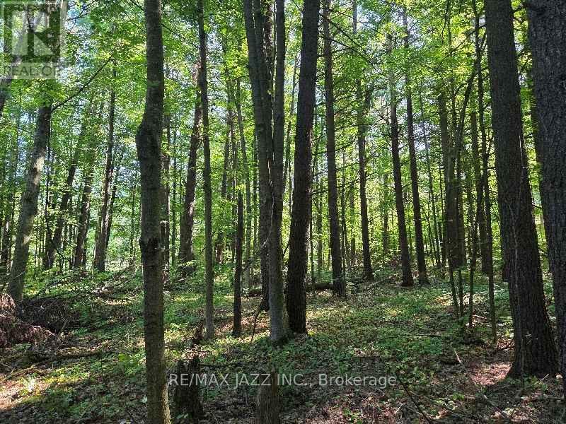 Photo 3 of 33 Sumac Road, Clarington ON