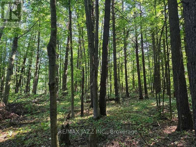 Photo 4 of 33 Sumac Road, Clarington ON