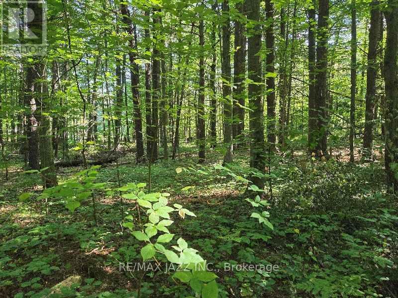 Photo 5 of 33 Sumac Road, Clarington ON