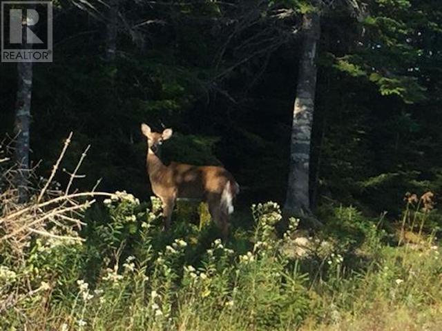 Property 4 of 4 of Lot 8 Sailors Way, South Harbour