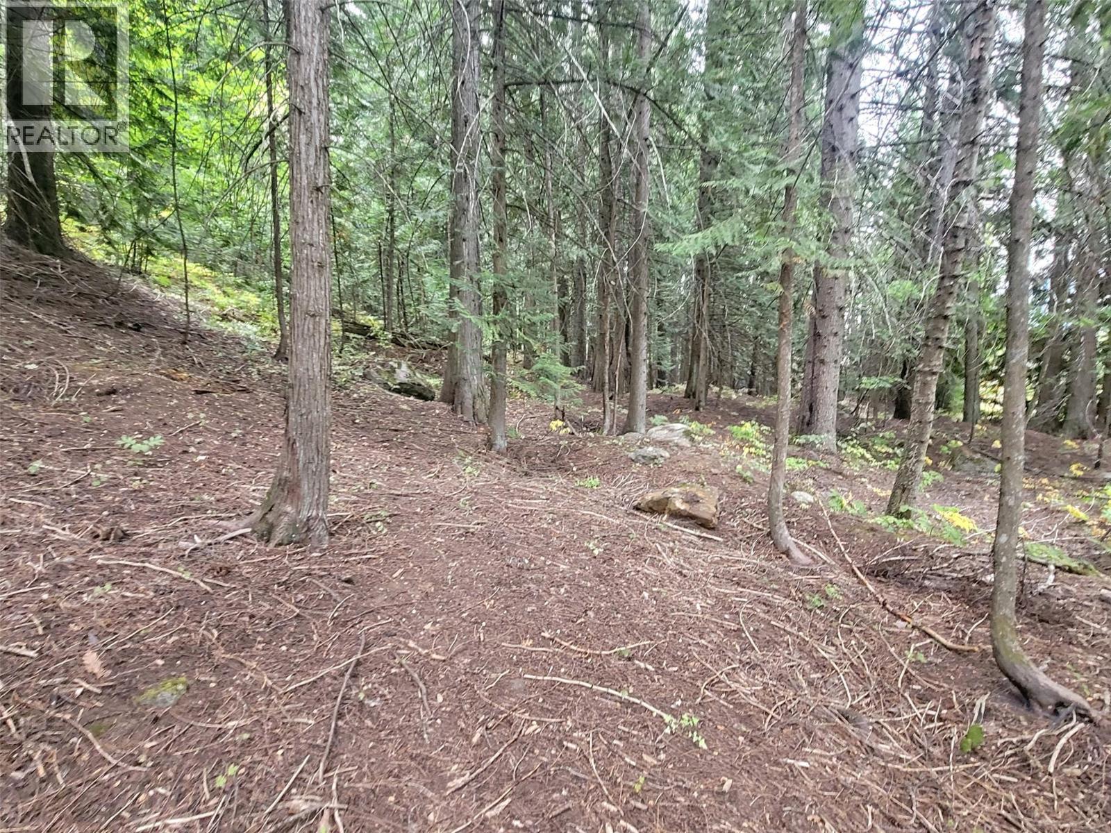 Photo 4 of Maclure Avenue Lot Lot A, Salmo BC