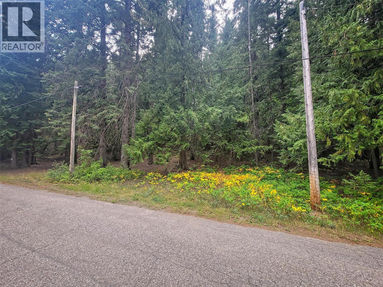 Photo 1 of Maclure Avenue Lot Lot A, Salmo BC
