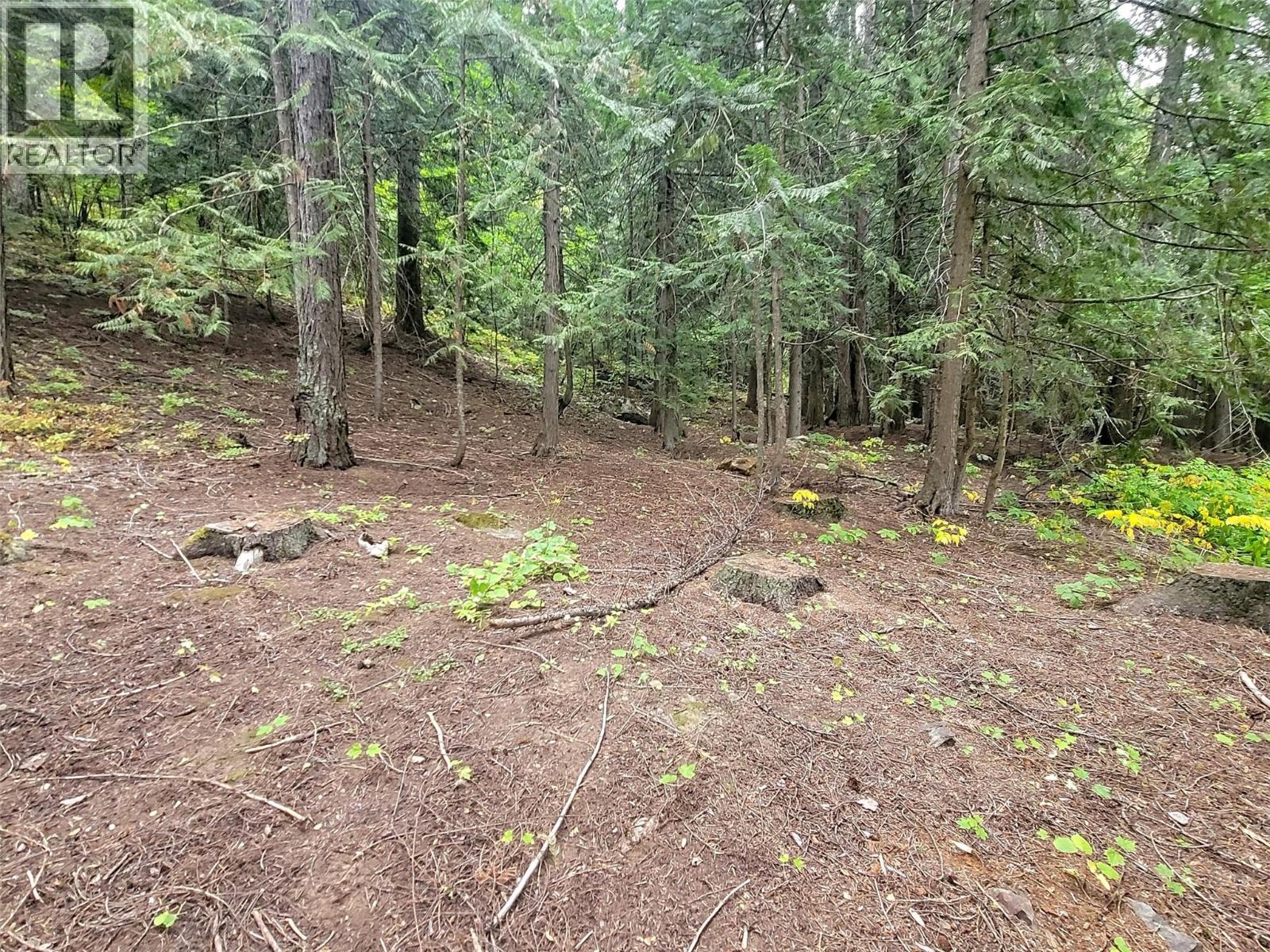 Photo 11 of Maclure Avenue Lot Lot A, Salmo BC