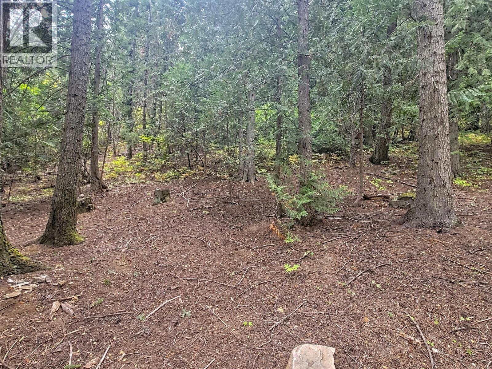 Photo 10 of Maclure Avenue Lot Lot A, Salmo BC