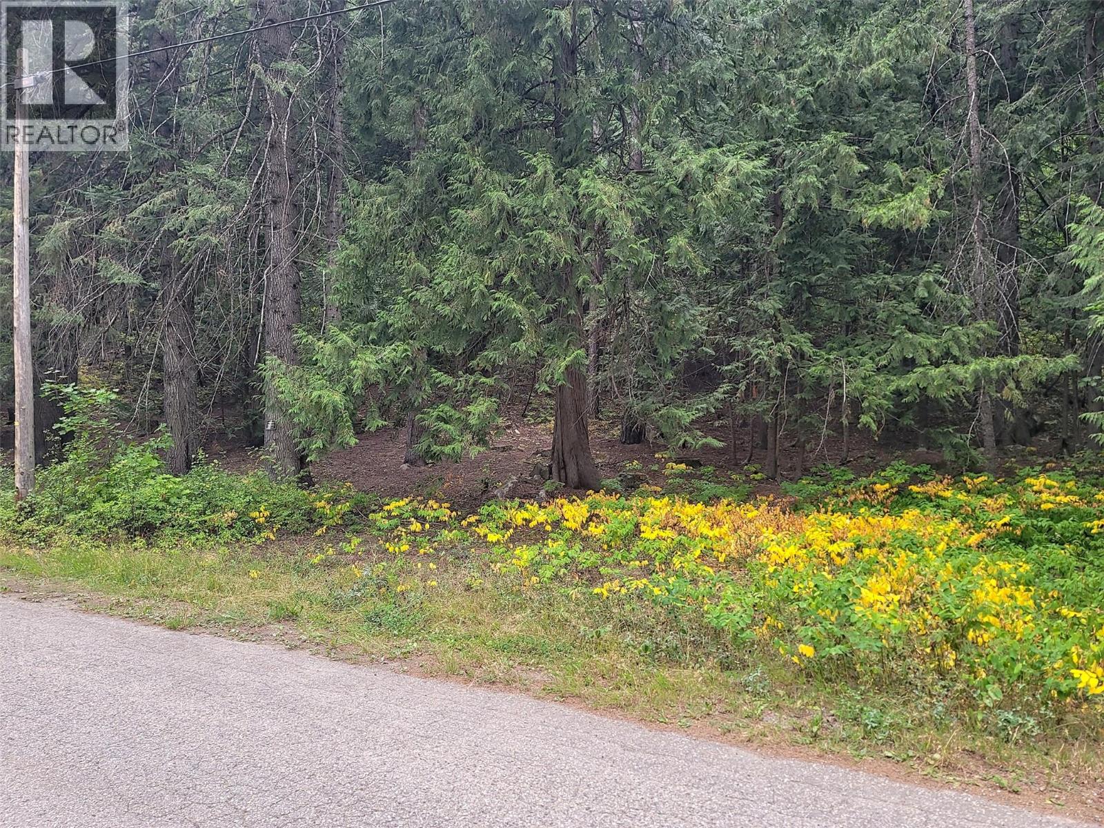 Photo 6 of Maclure Avenue Lot Lot A, Salmo BC