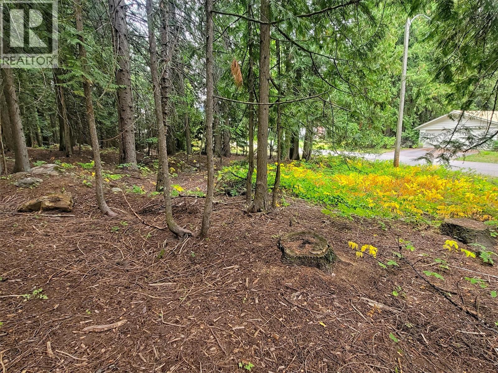 Photo 12 of Maclure Avenue Lot Lot A, Salmo BC