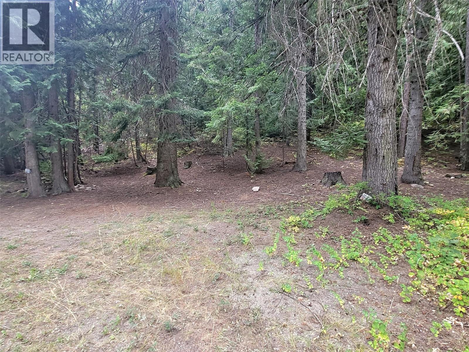 Photo 2 of Maclure Avenue Lot Lot A, Salmo BC