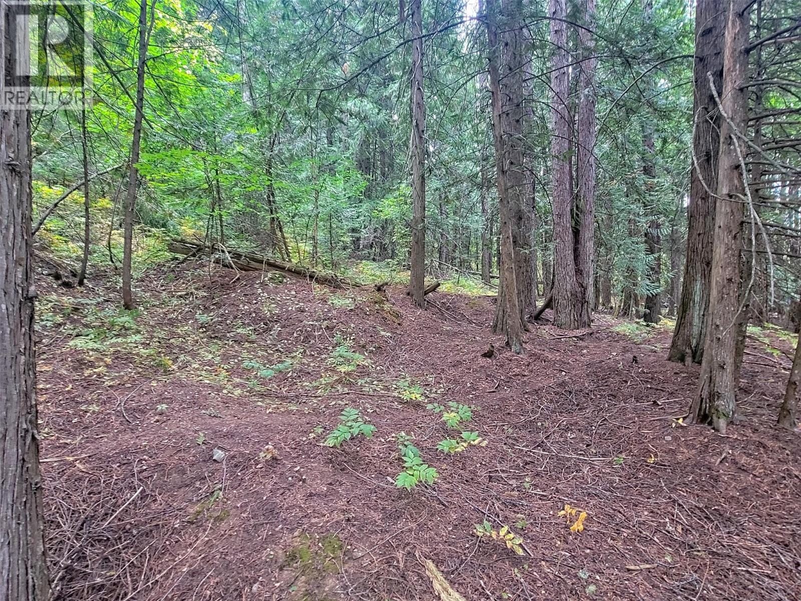 Photo 5 of Maclure Avenue Lot Lot A, Salmo BC