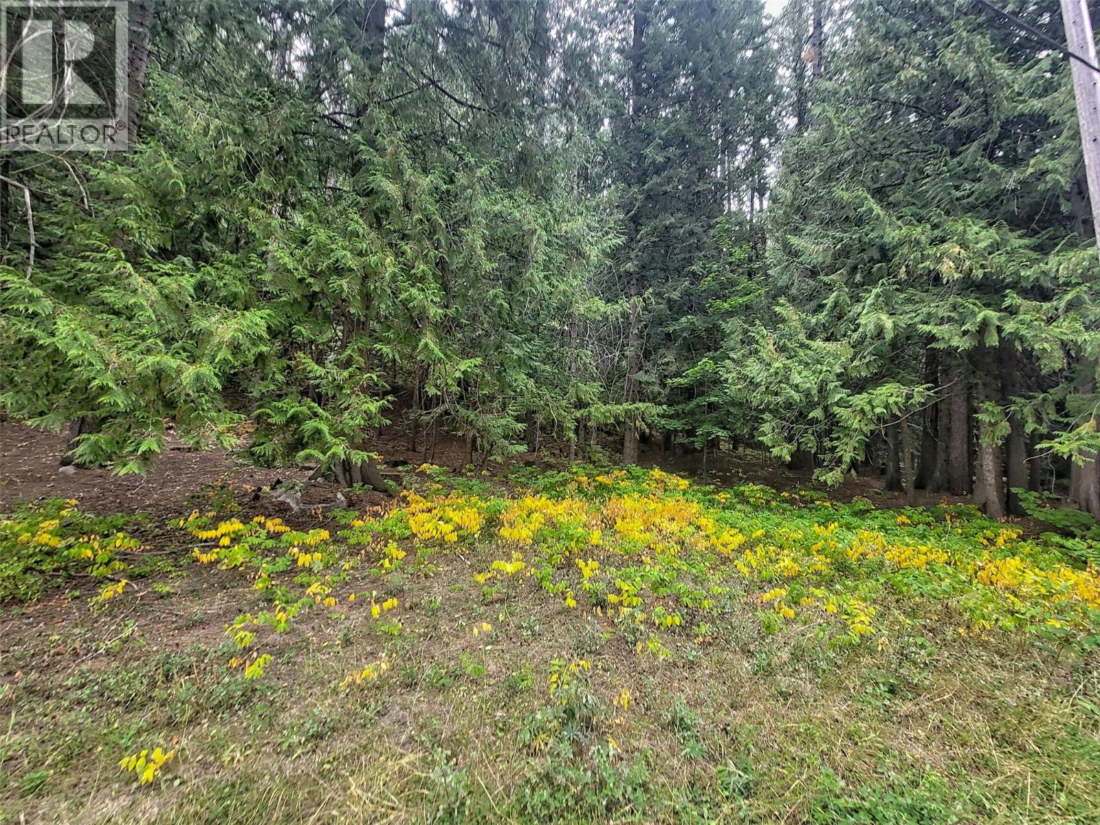 Photo 7 of Maclure Avenue Lot Lot A, Salmo BC