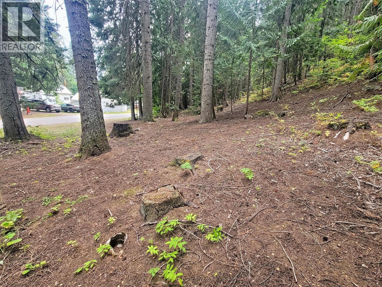 Photo 8 of Maclure Avenue Lot Lot A, Salmo BC