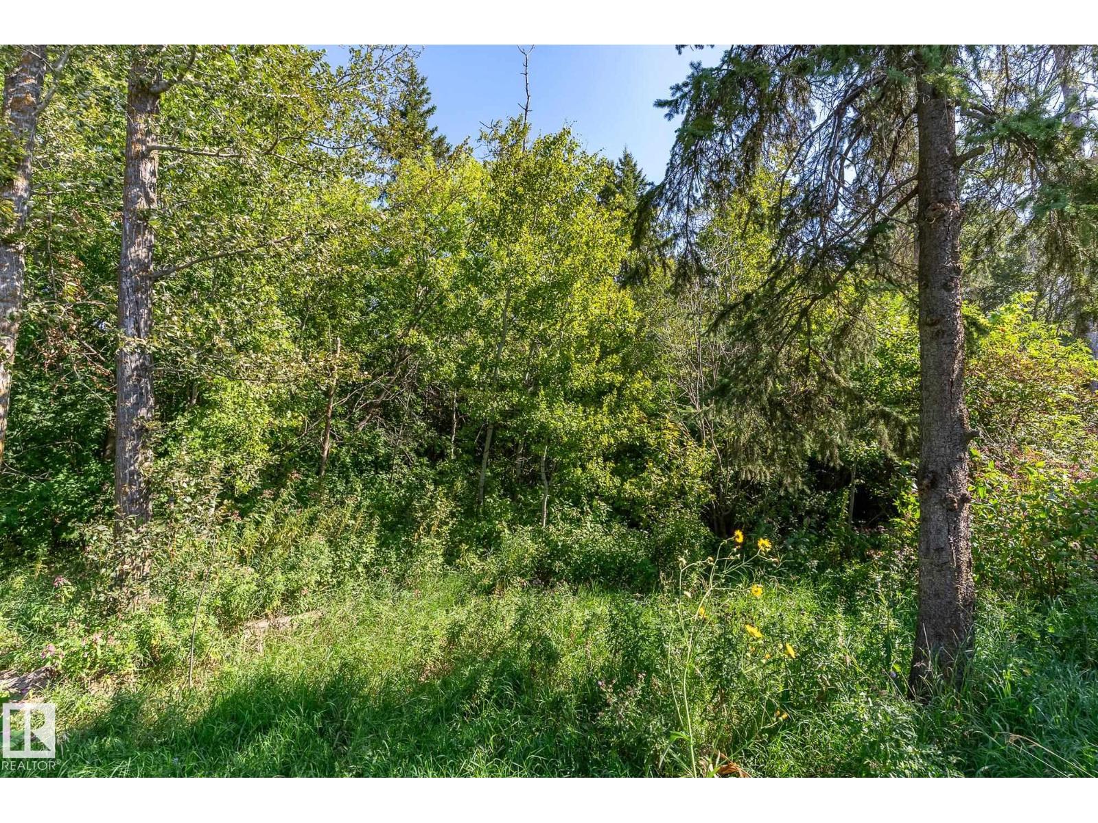Photo 19 of 4603 42nd Street, Beaumont AB