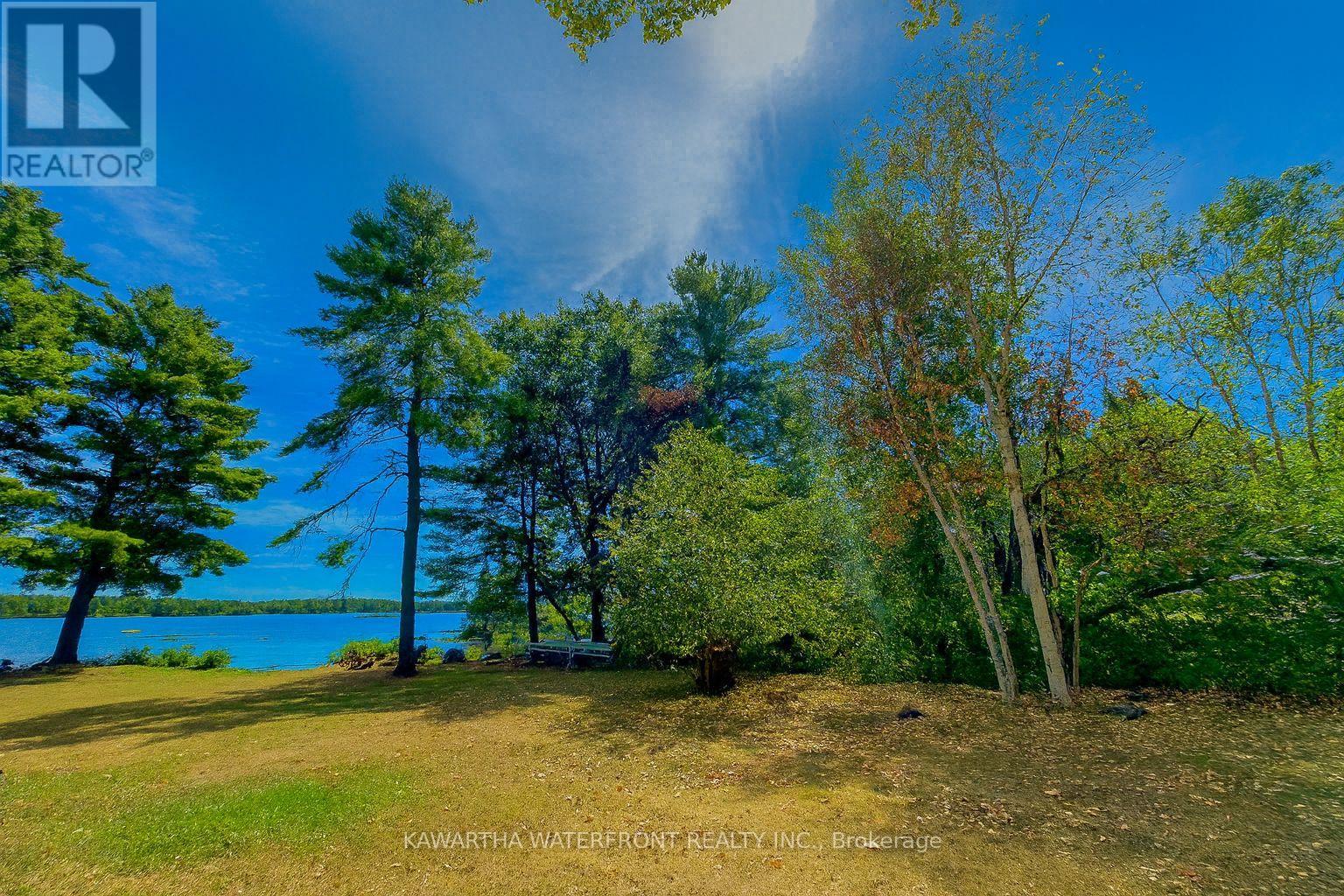 Photo 33 of 388 North Shore Rd Road, Kawartha Lakes ON