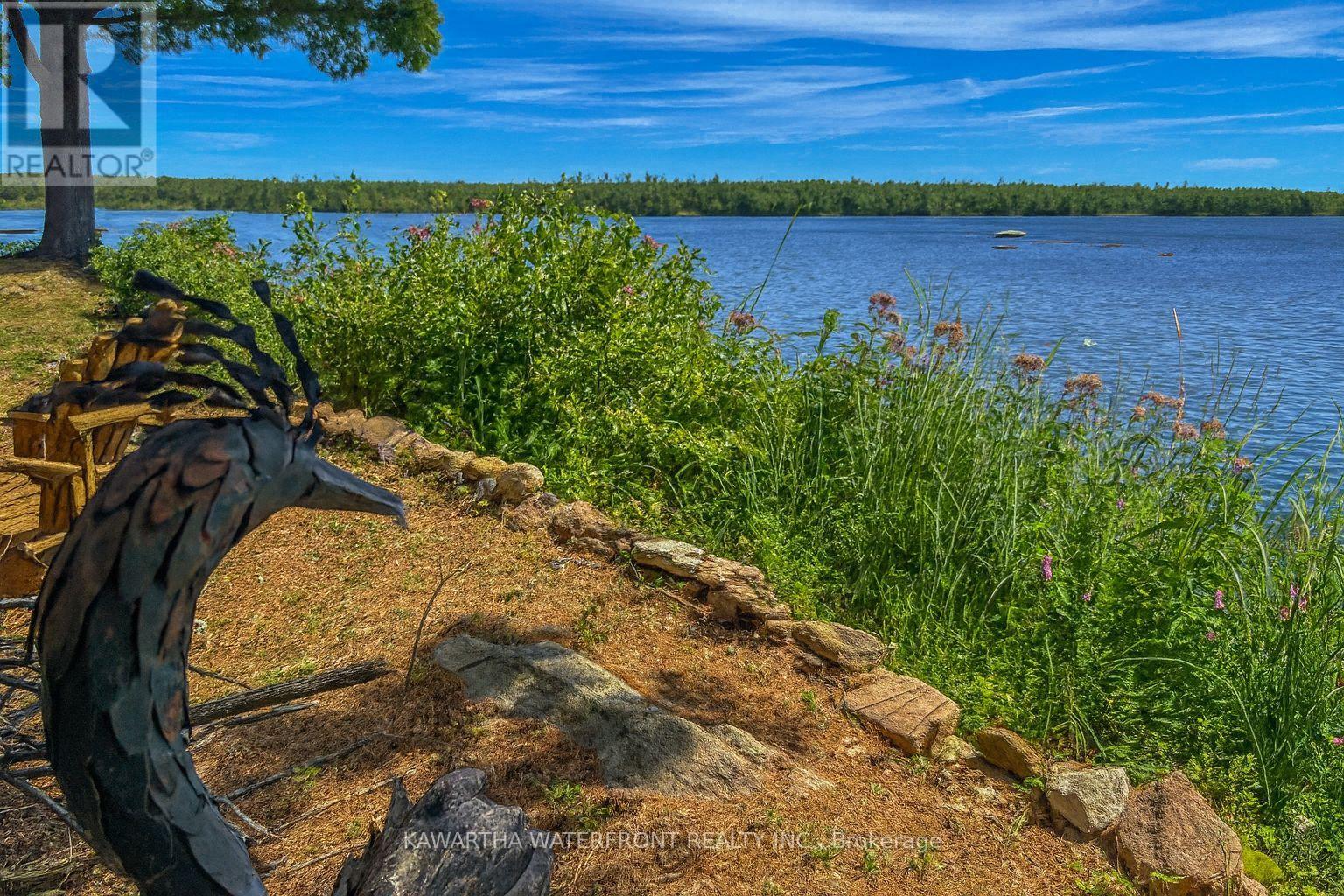 Photo 34 of 388 North Shore Rd Road, Kawartha Lakes ON