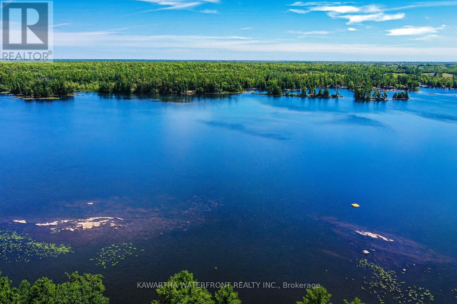Photo 38 of 388 North Shore Rd Road, Kawartha Lakes ON