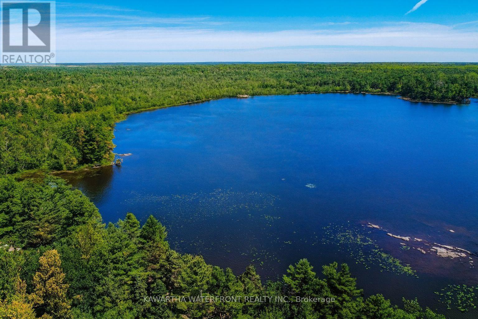 Photo 39 of 388 North Shore Rd Road, Kawartha Lakes ON