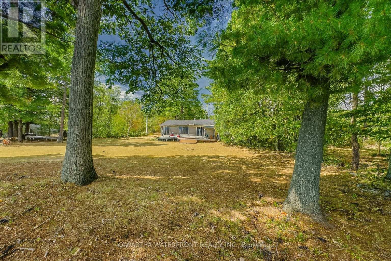 Photo 41 of 388 North Shore Rd Road, Kawartha Lakes ON
