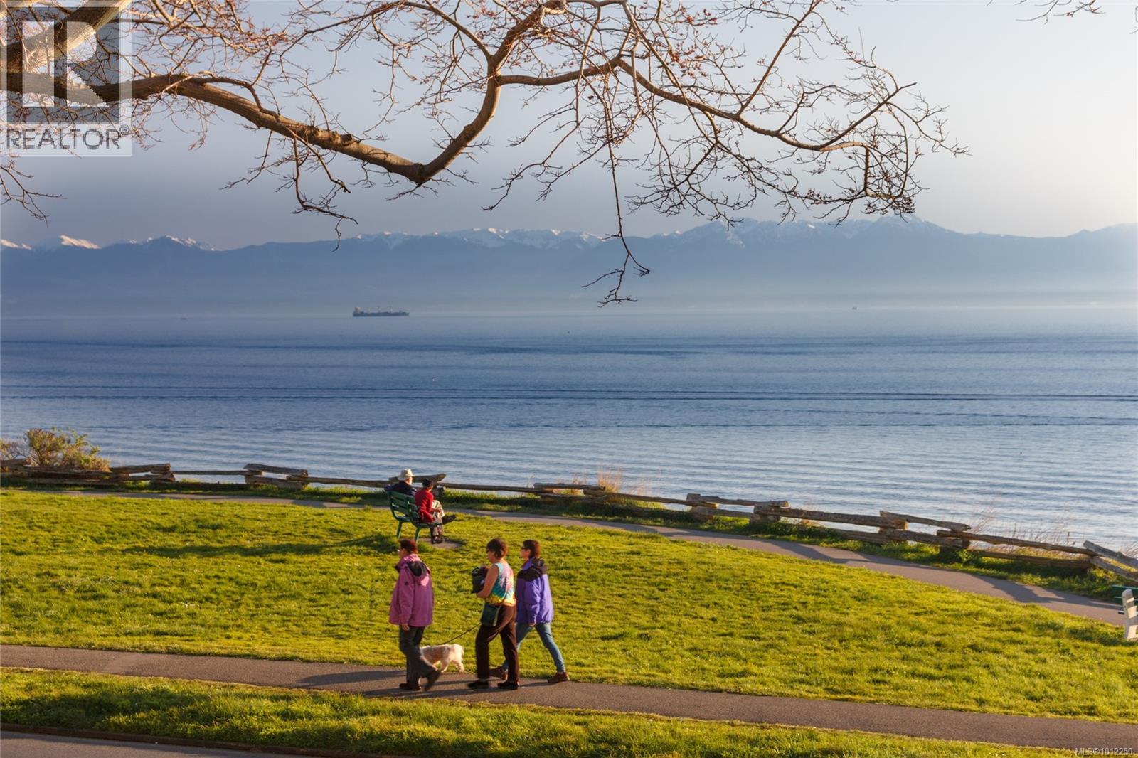 530 188 Douglas St, Victoria