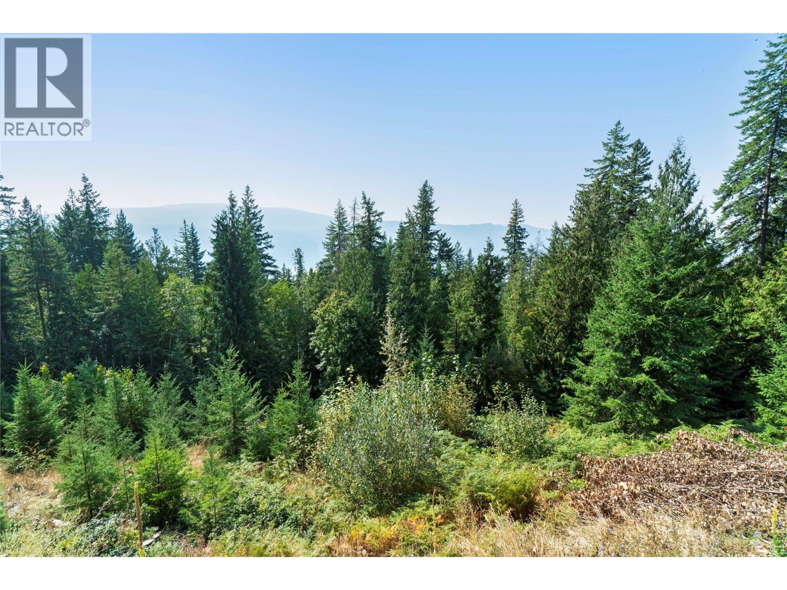 Photo 4 of 7660 Lichen Road, Anglemont BC