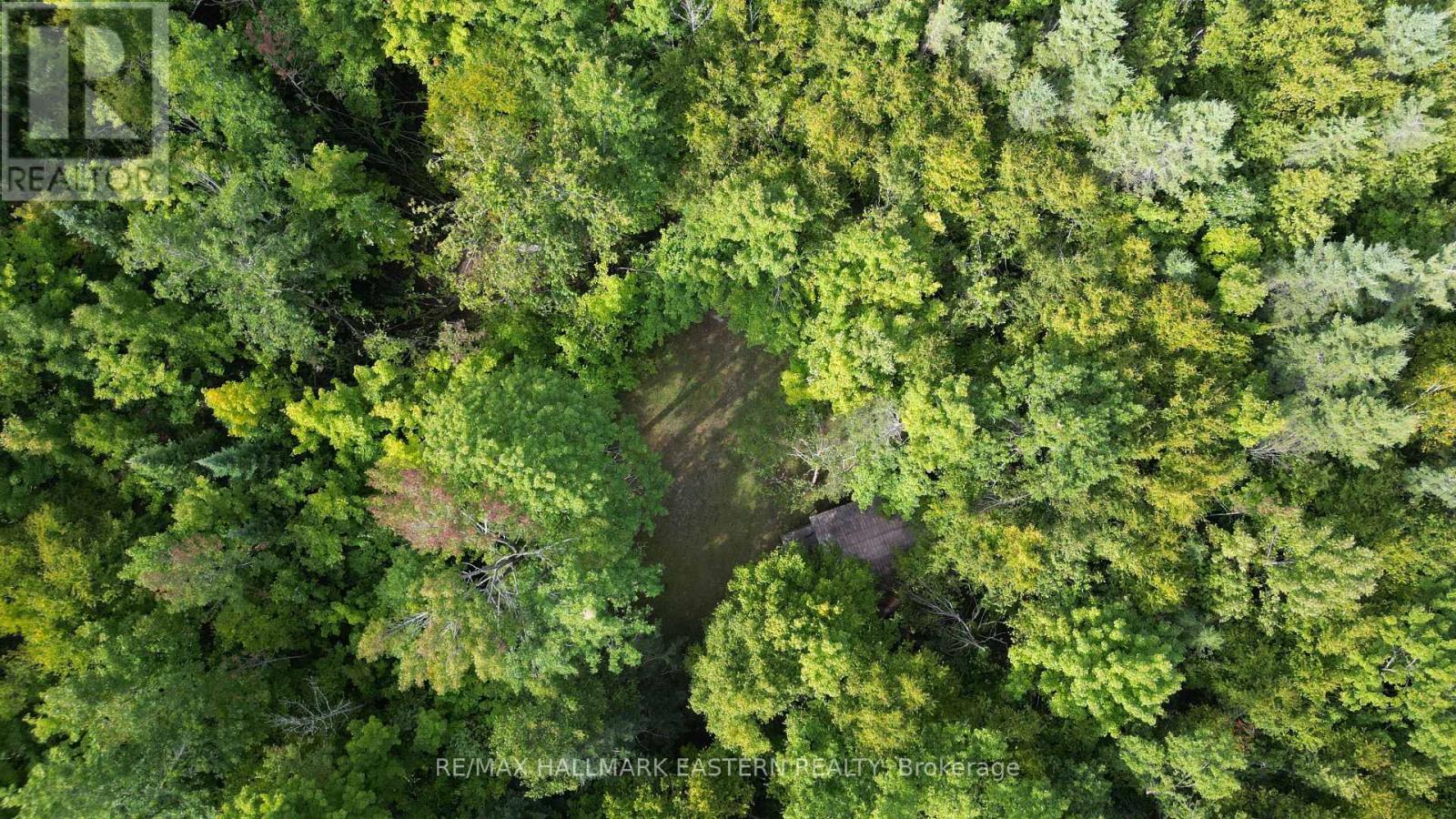 Photo 10 of N A County Road 44, Havelockbelmontmethuen ON