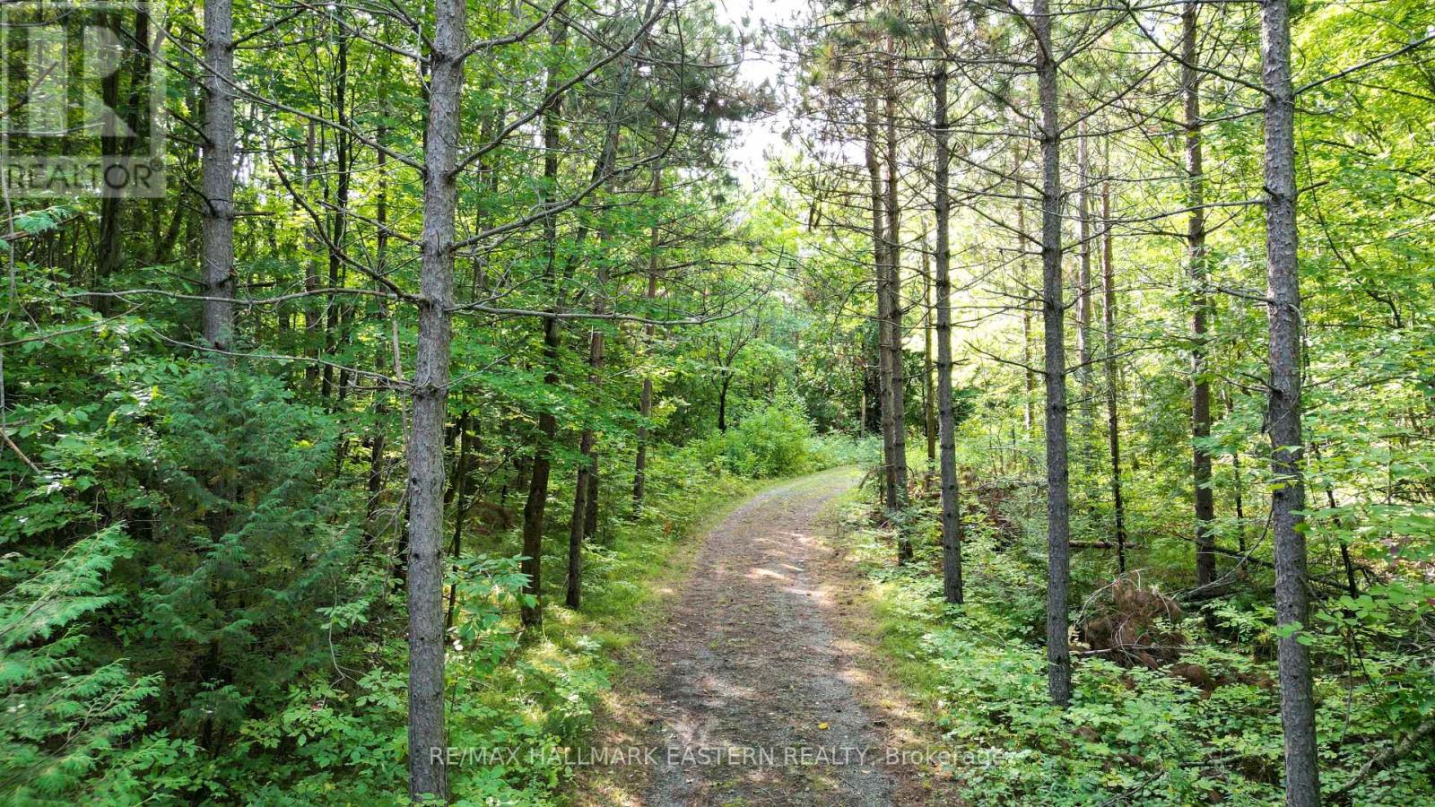 Photo 6 of N A County Road 44, Havelockbelmontmethuen ON