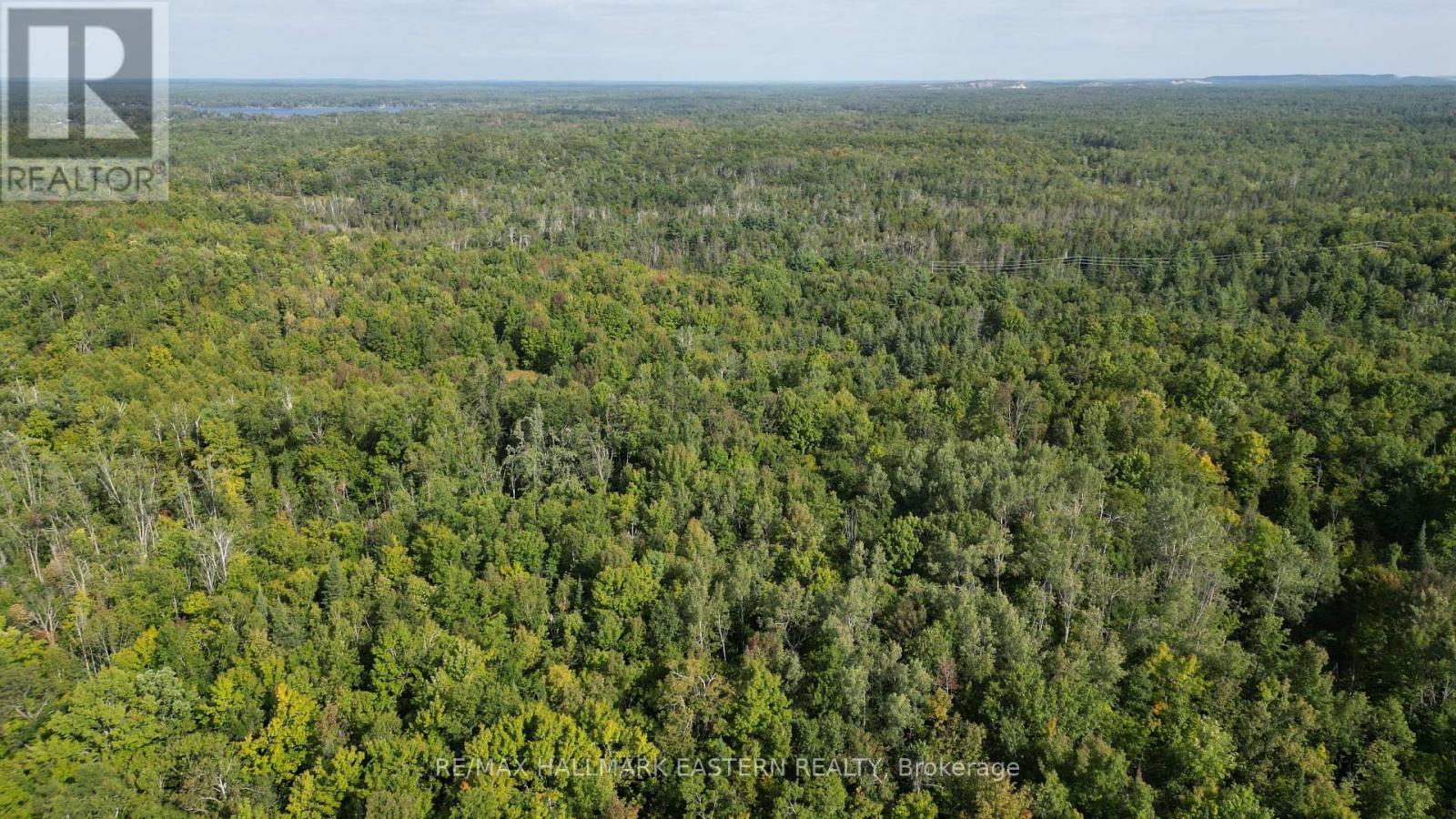Photo 8 of N A County Road 44, Havelockbelmontmethuen ON