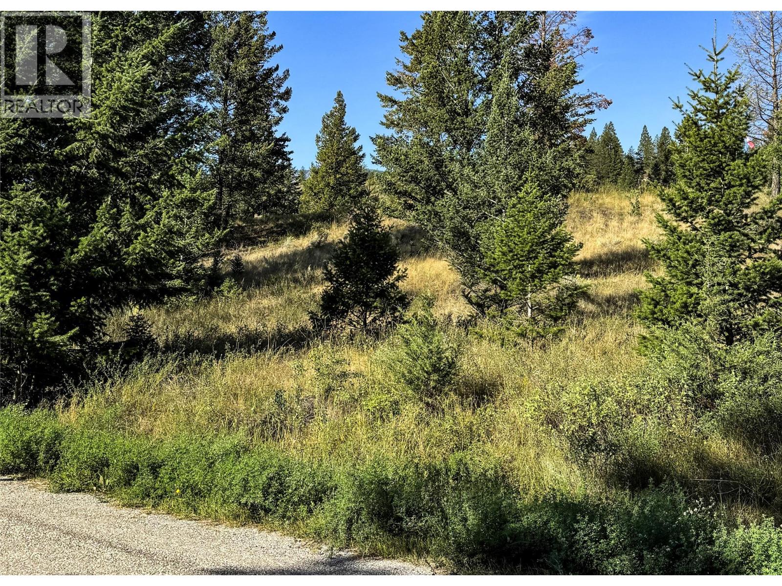 Photo 3 of Columbia Estates Road Lot Lot 13, Fairmont Hot Springs BC
