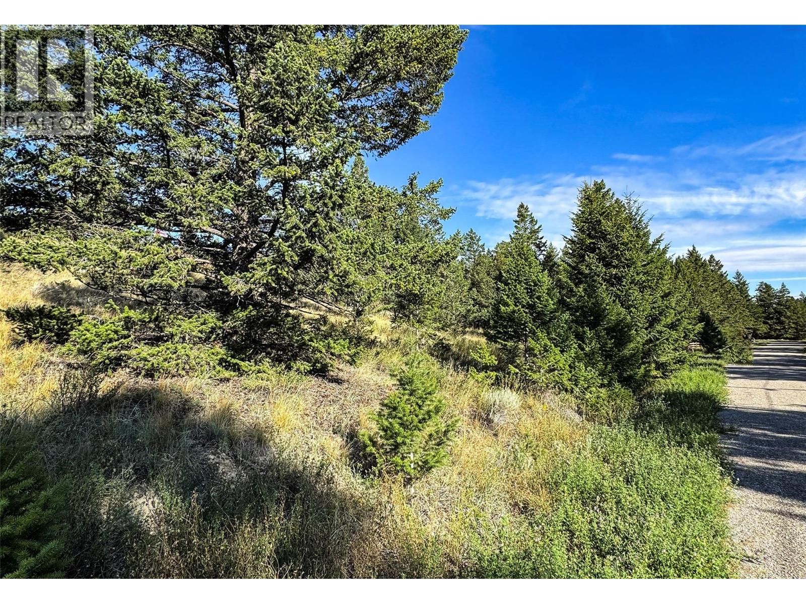 Photo 4 of Columbia Estates Road Lot Lot 13, Fairmont Hot Springs BC