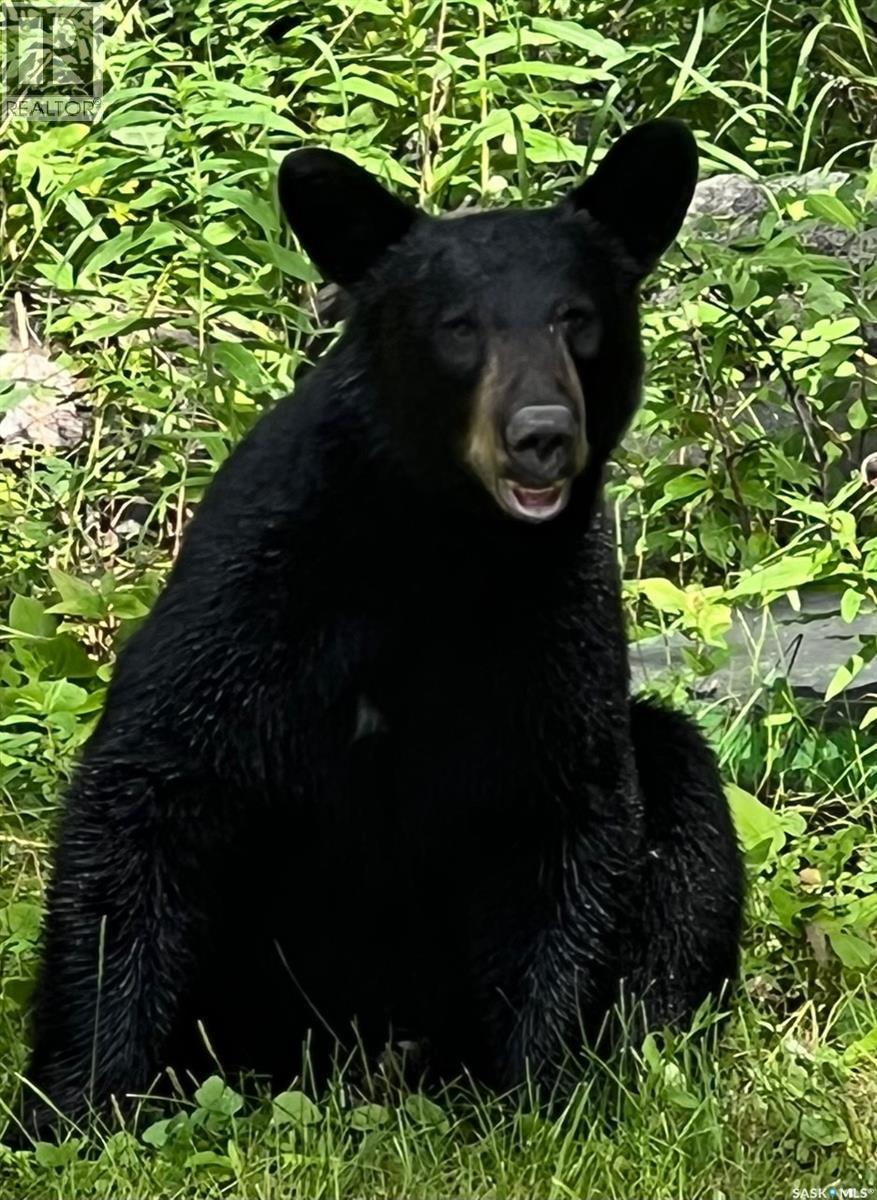 Wildlife Acres — photo 43