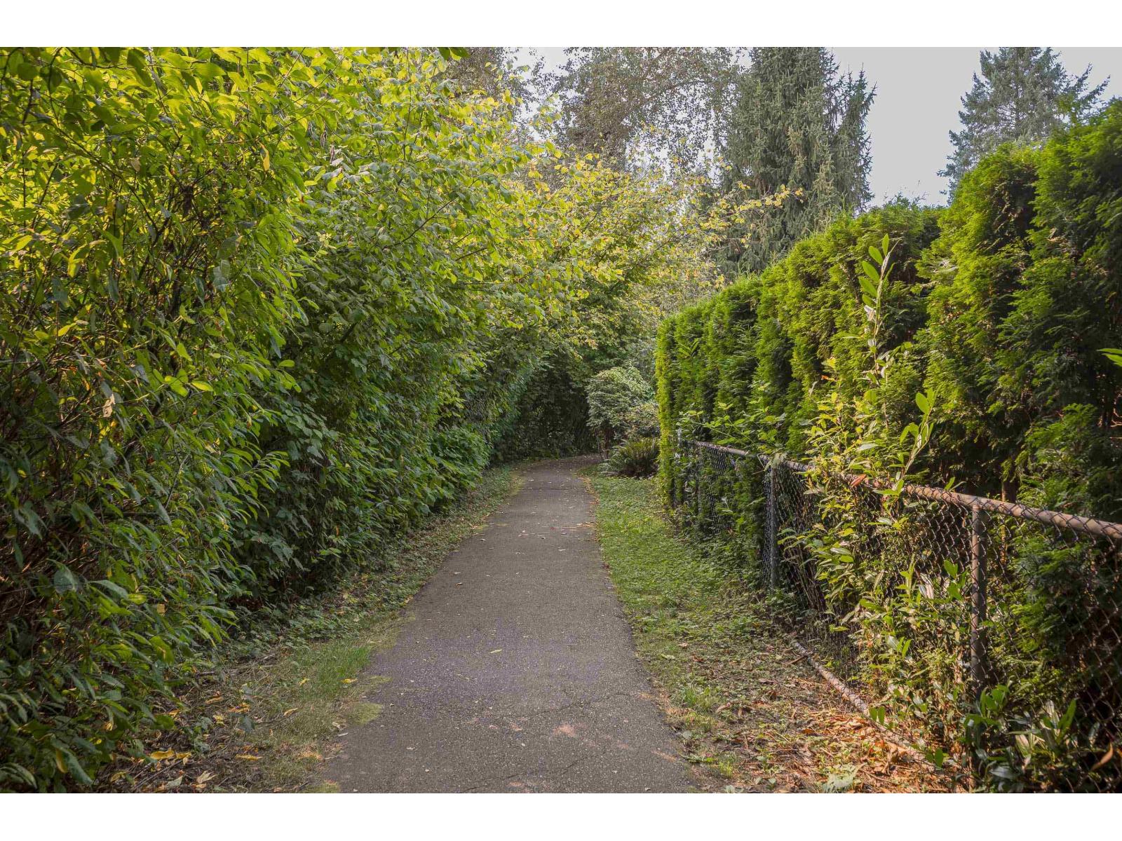 Photo 39 of 72 21579 88 B Avenue, Langley BC