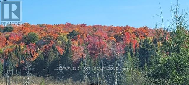 Photo 23 of Pt Lt 147 Con A Lount Rye Rye Road, South River ON