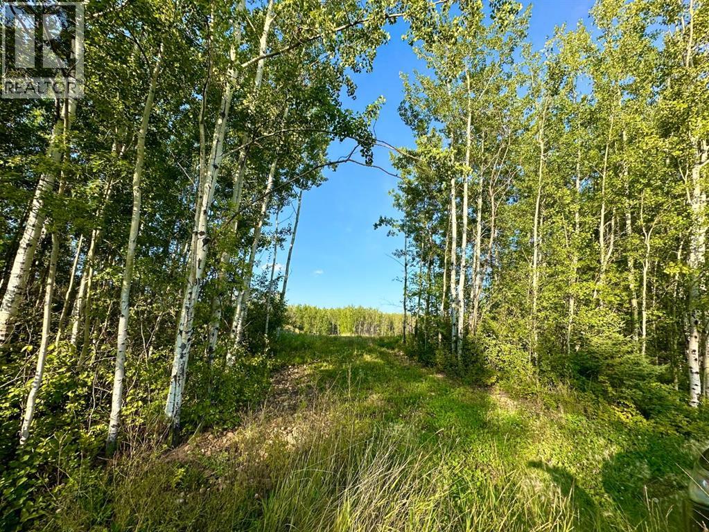 67417 McGrane Road, Lac La Biche
