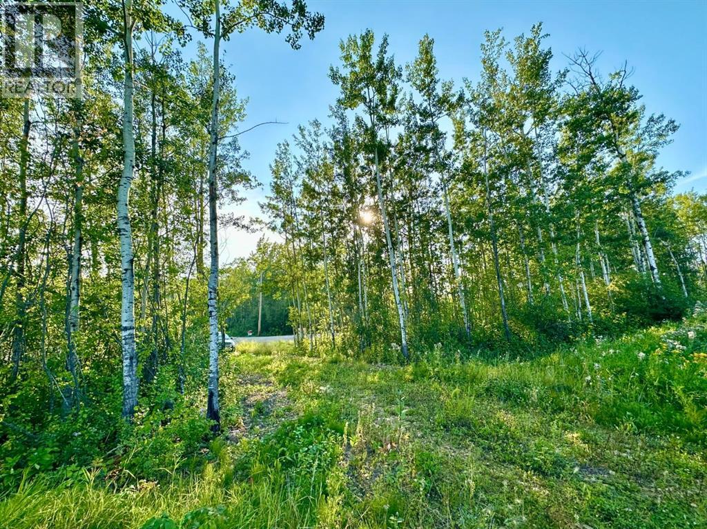 67417 McGrane Road, Lac La Biche