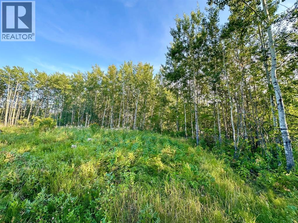67417 McGrane Road, Lac La Biche