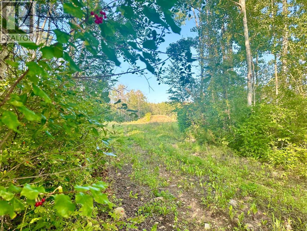 67417 McGrane Road, Lac La Biche